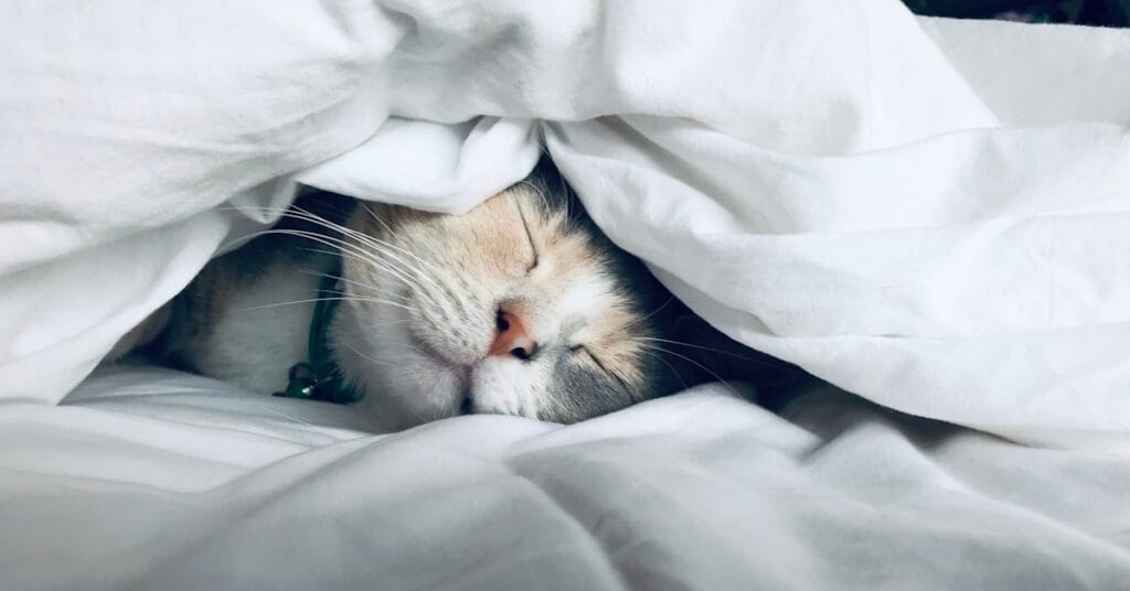 Person sleeping with mouth open, sleep health